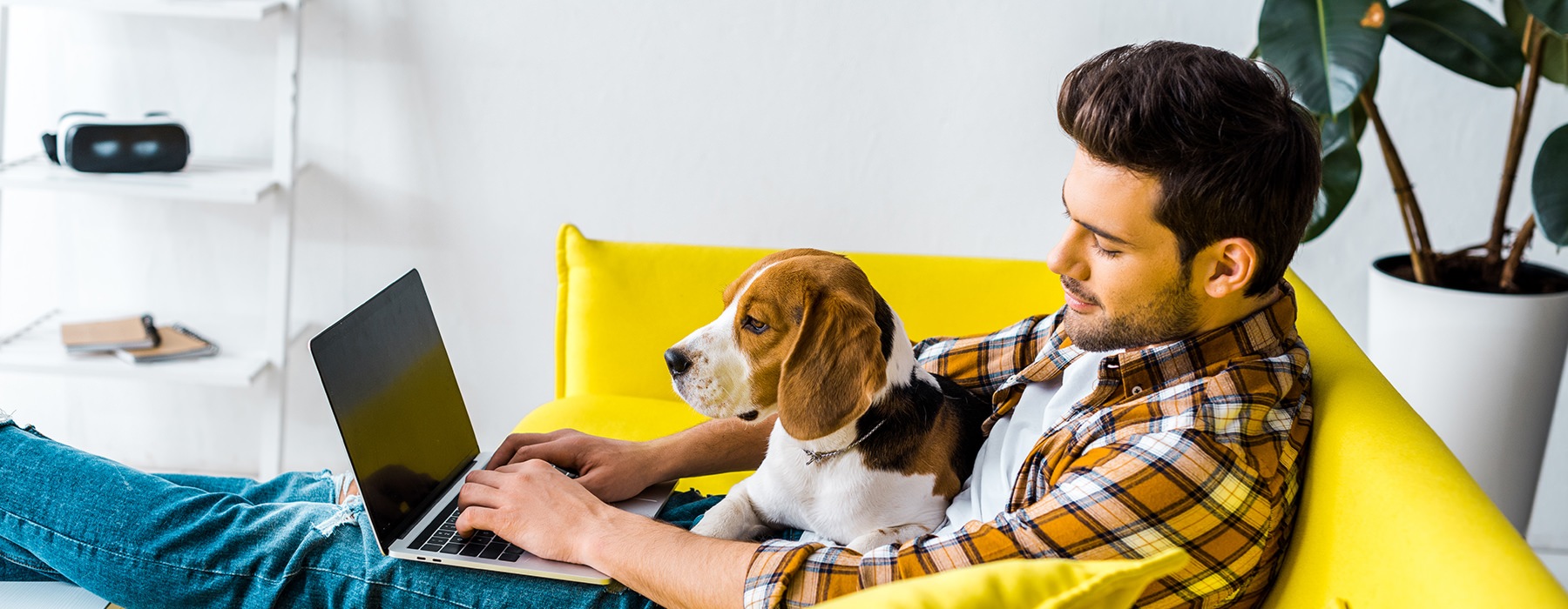 man with dog looking at laptop